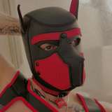 bjhorns from onlyfans