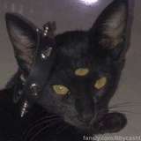 753615670670794752 from fansly